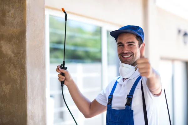 Yucca Valley Wasp Removal
