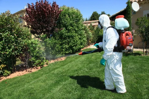 Yucca Valley Mosquito Control
