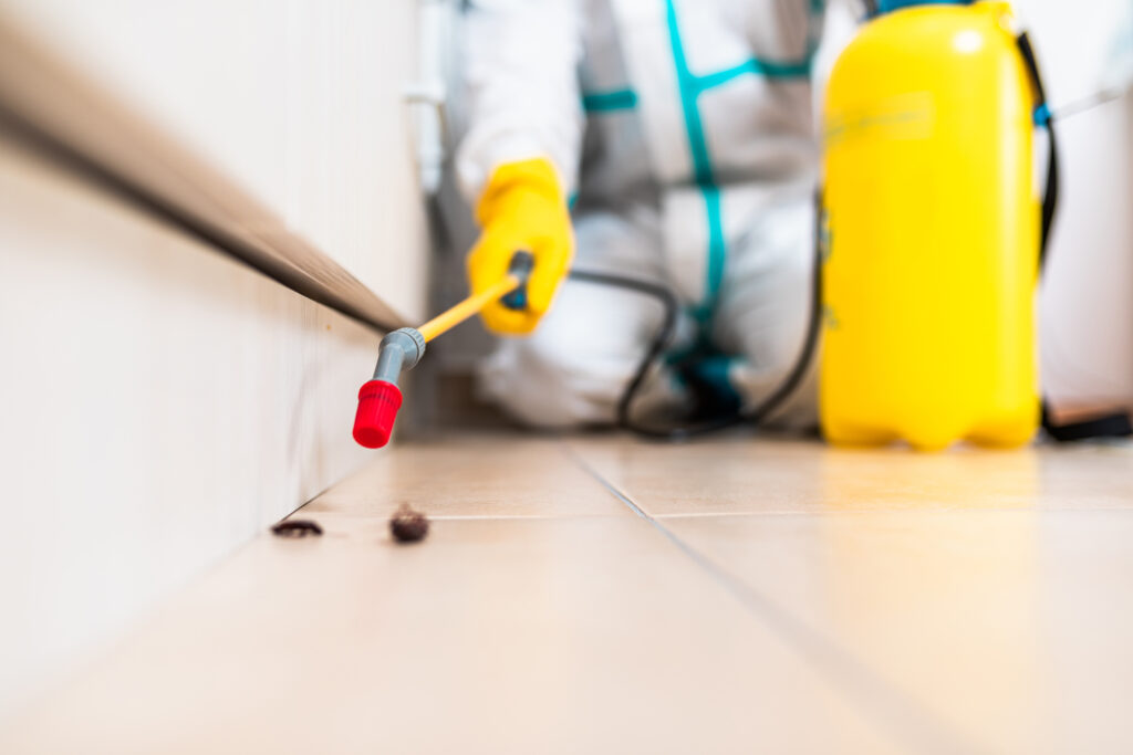 Yucca Valley Cockroach Experts