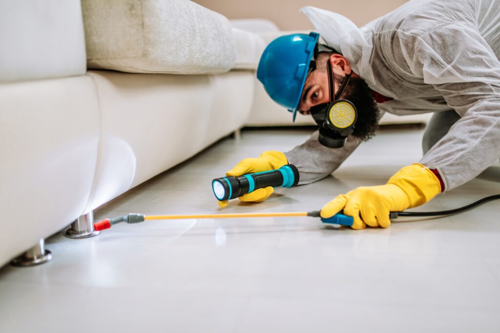 Yucca Valley Termite Control