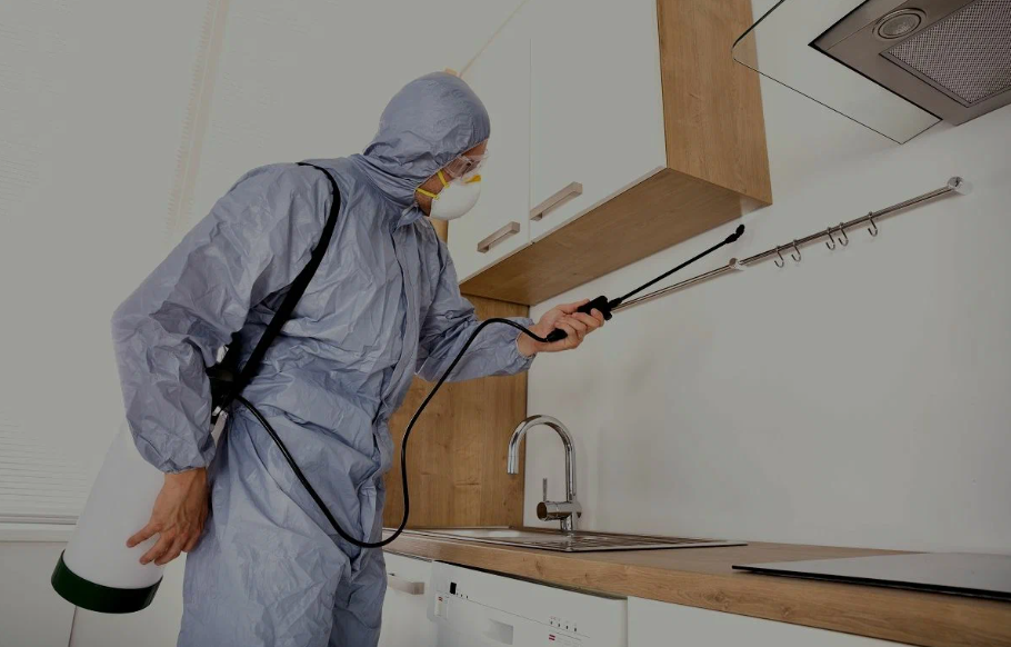 Yucca Valley pest managment
